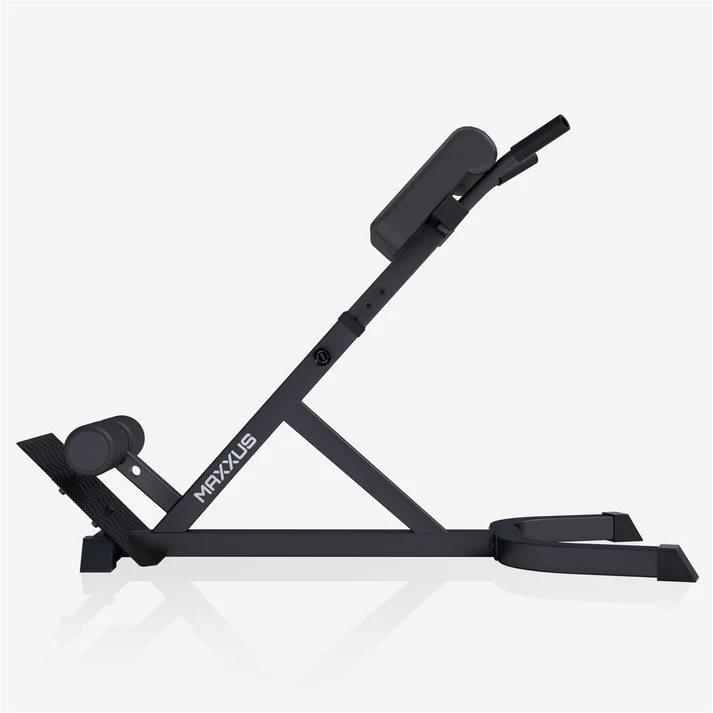 Säädettävä selkäpenkki dippikahvoilla 150kg - Image 3