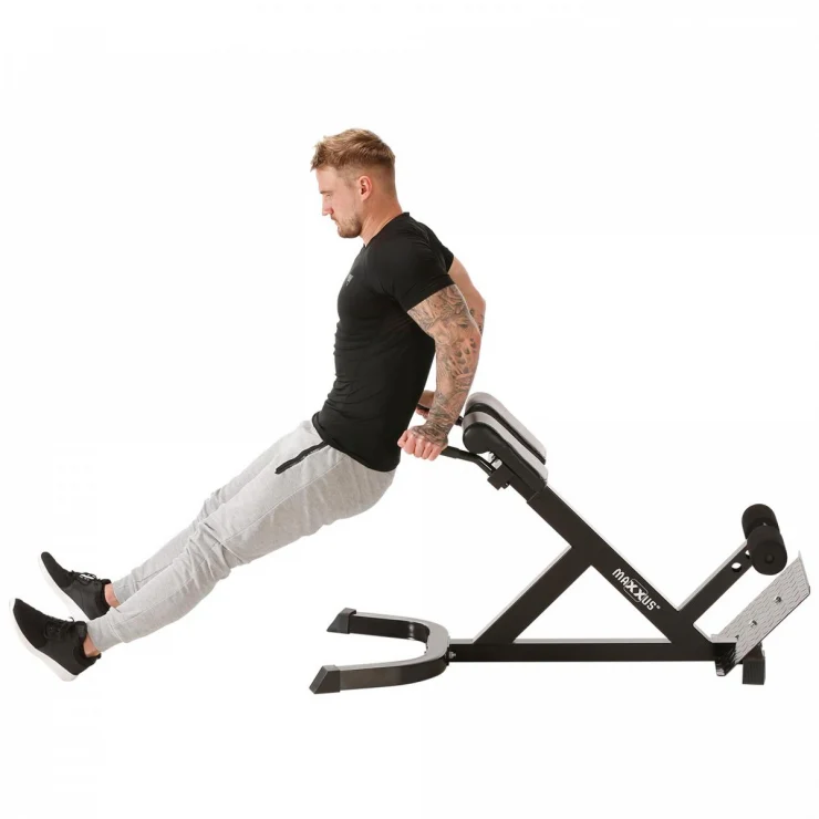 Säädettävä selkäpenkki dippikahvoilla 150kg - Image 8